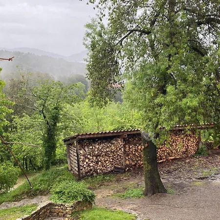 Campsite Banal - Y Masia Rural Montagut